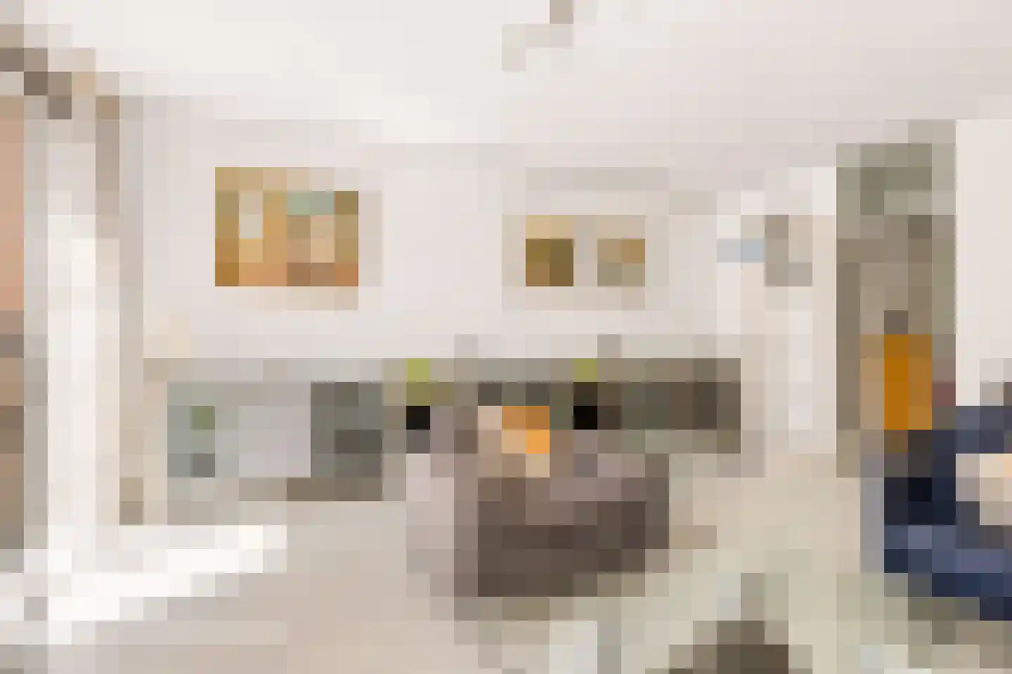 Dovenetelhof 37 Houten thumbnail 16