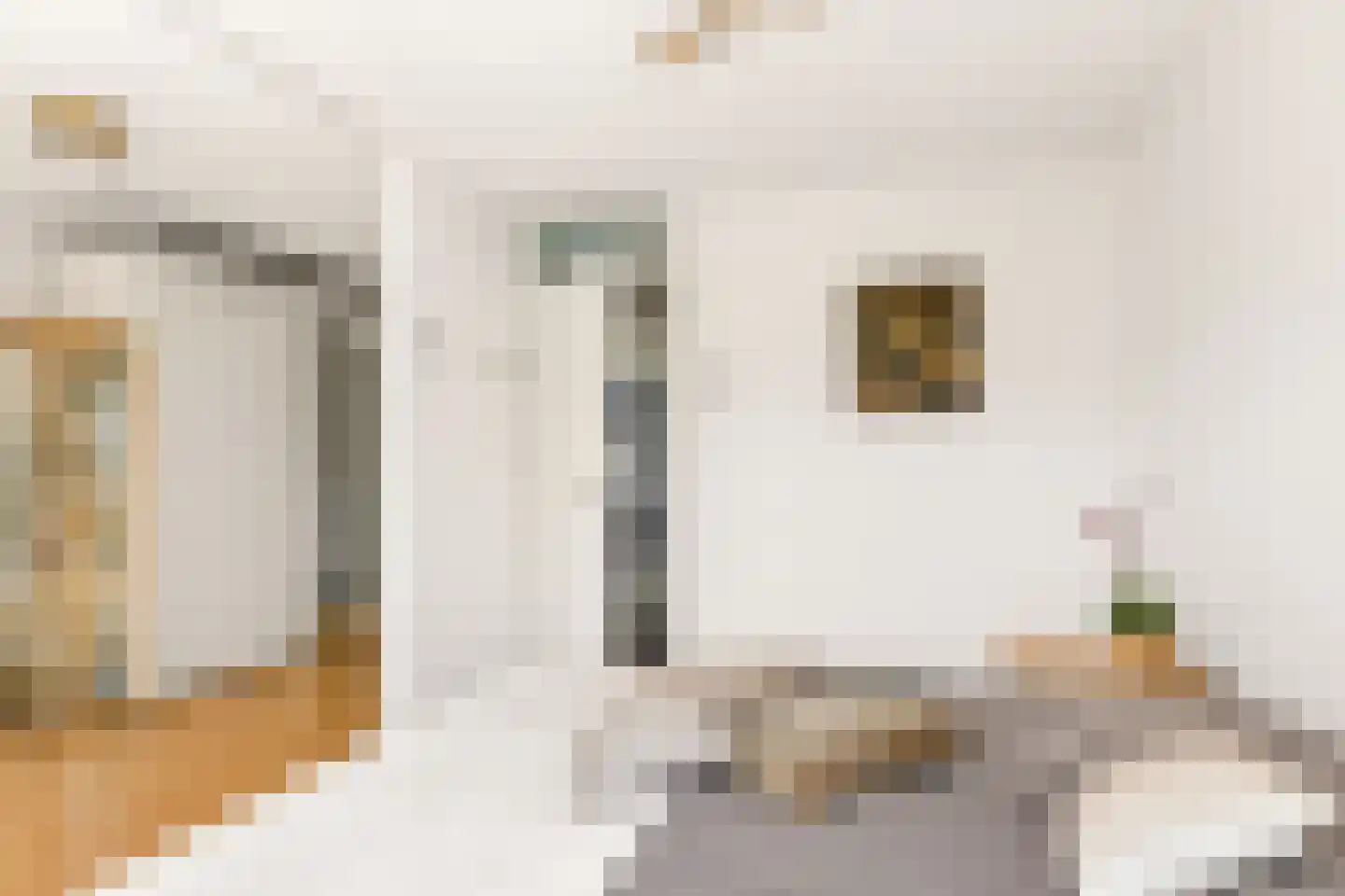 Dovenetelhof 37 Houten thumbnail 19