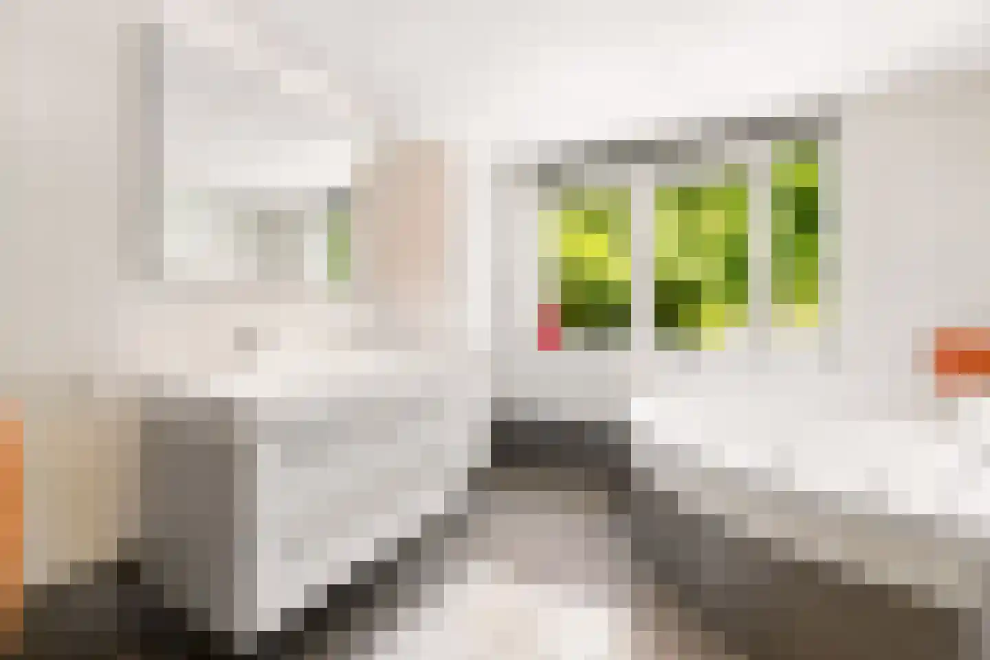 Dovenetelhof 37 Houten thumbnail 28