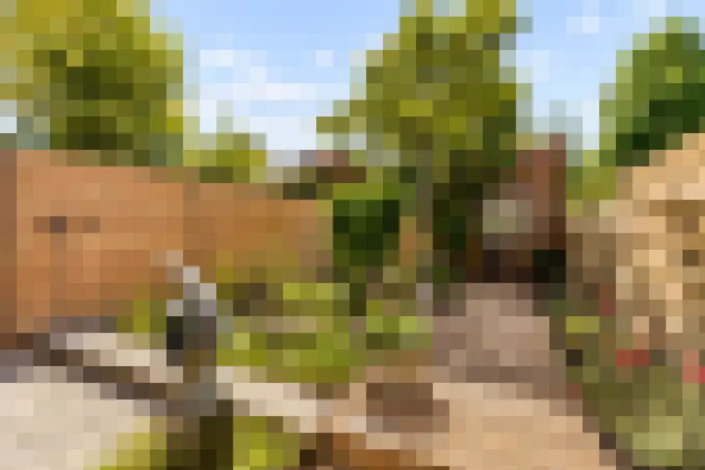 Dovenetelhof 37 Houten thumbnail 37