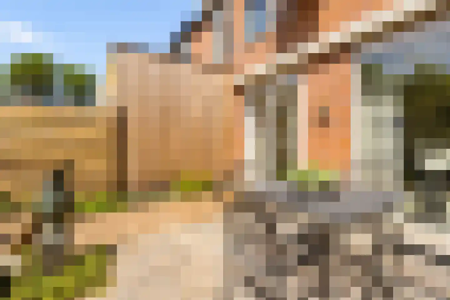 Dovenetelhof 37 Houten thumbnail 39