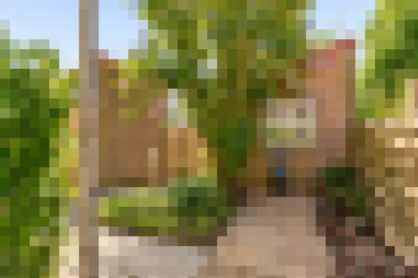 Dovenetelhof 37 Houten thumbnail 42