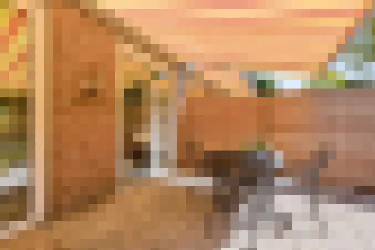 Dovenetelhof 37 Houten thumbnail 44