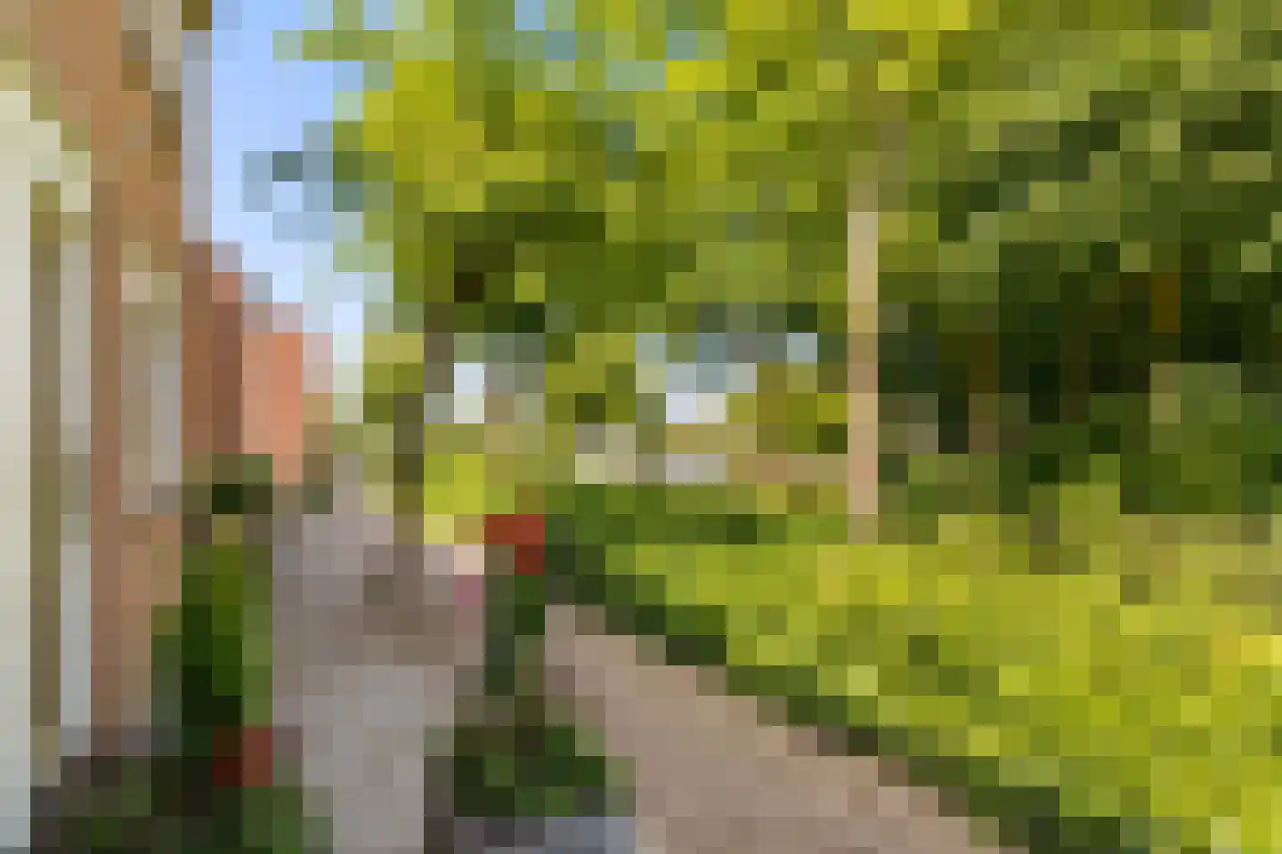 Dovenetelhof 37 Houten thumbnail 47