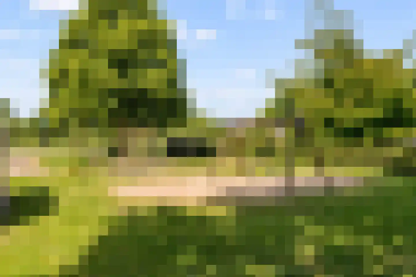 Dovenetelhof 37 Houten thumbnail 48
