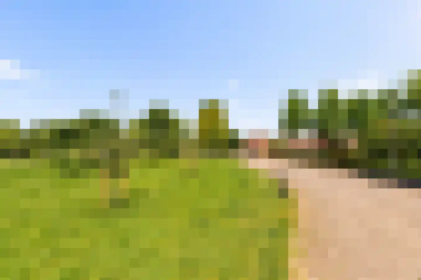 Dovenetelhof 37 Houten thumbnail 49