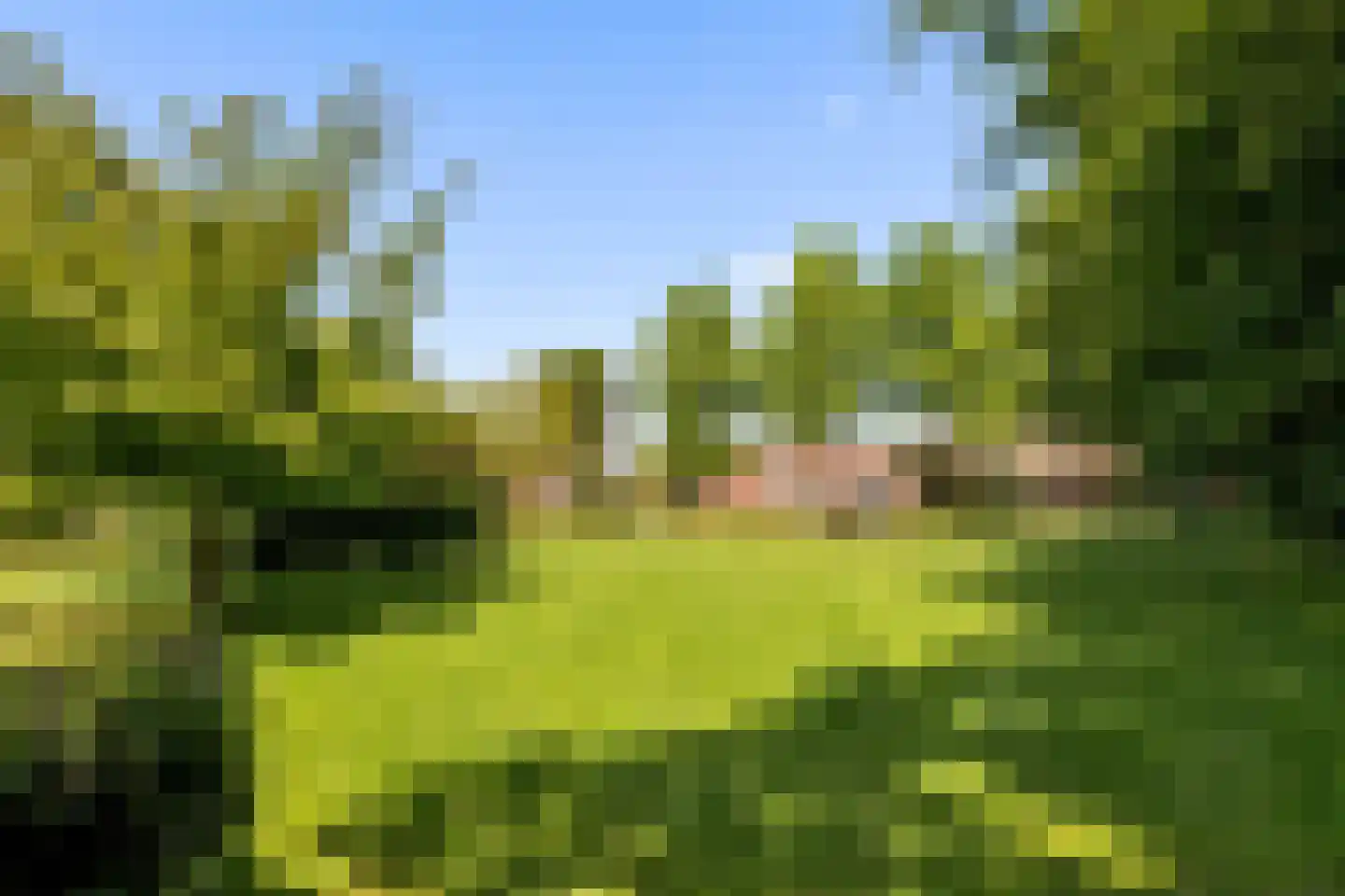 Dovenetelhof 37 Houten thumbnail 50