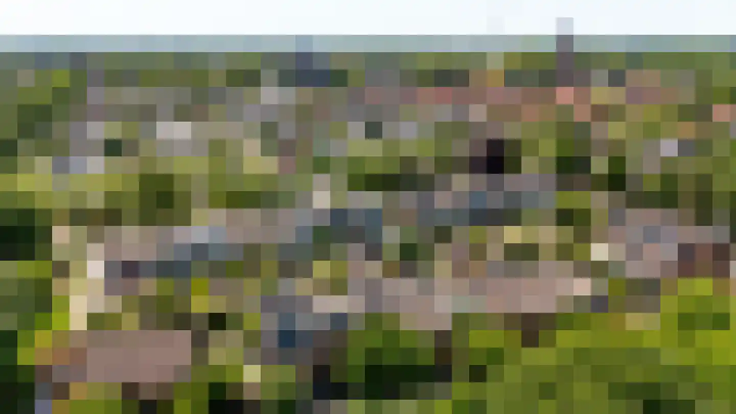 Dovenetelhof 37 Houten thumbnail 51