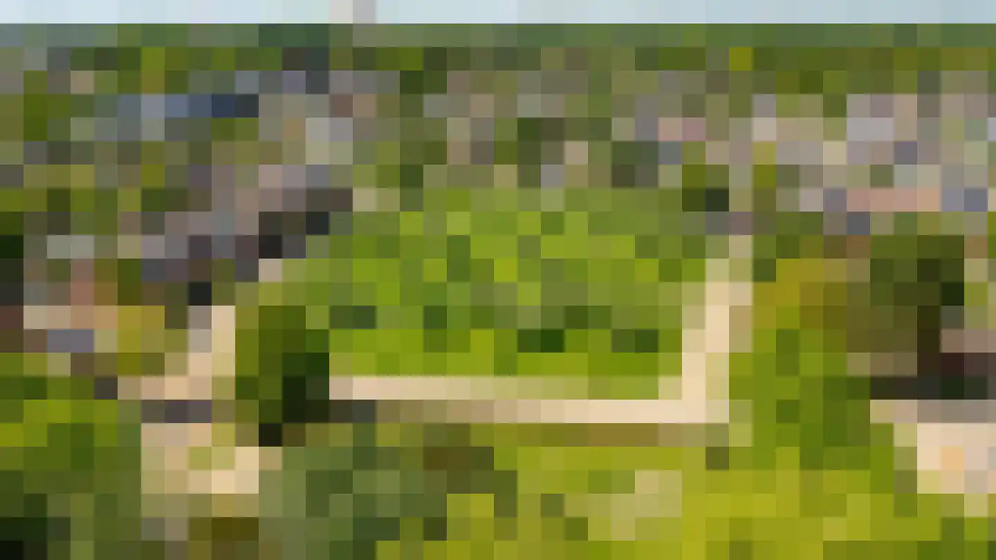 Dovenetelhof 37 Houten thumbnail 52