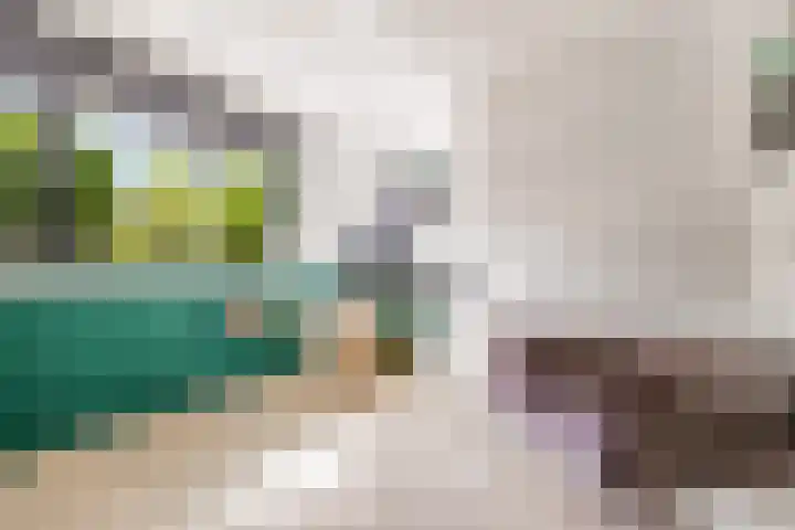 Dovenetelhof 6 Houten thumbnail 15