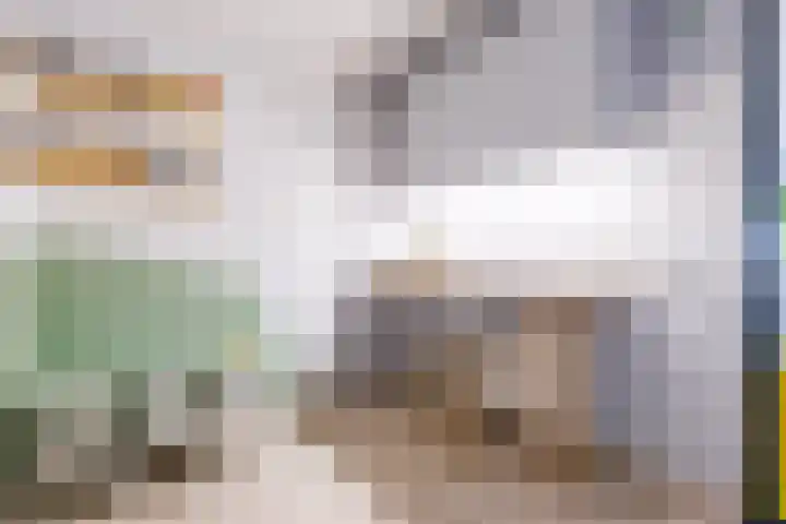 Dovenetelhof 6 Houten thumbnail 21