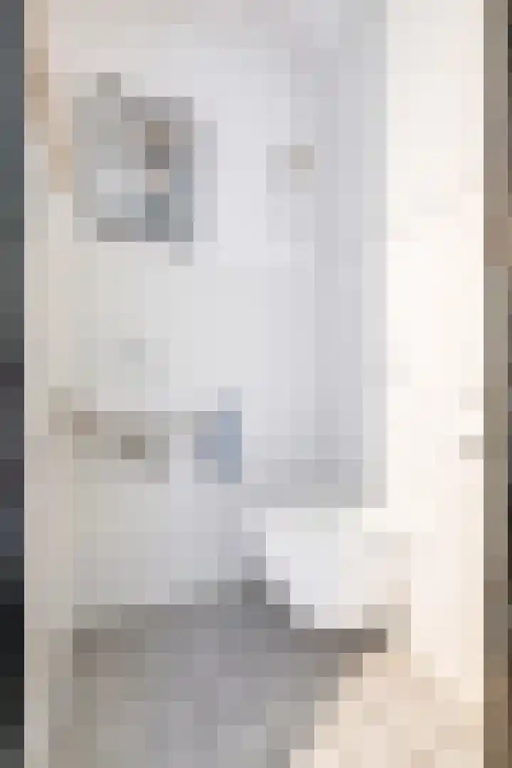 Dovenetelhof 6 Houten thumbnail 23