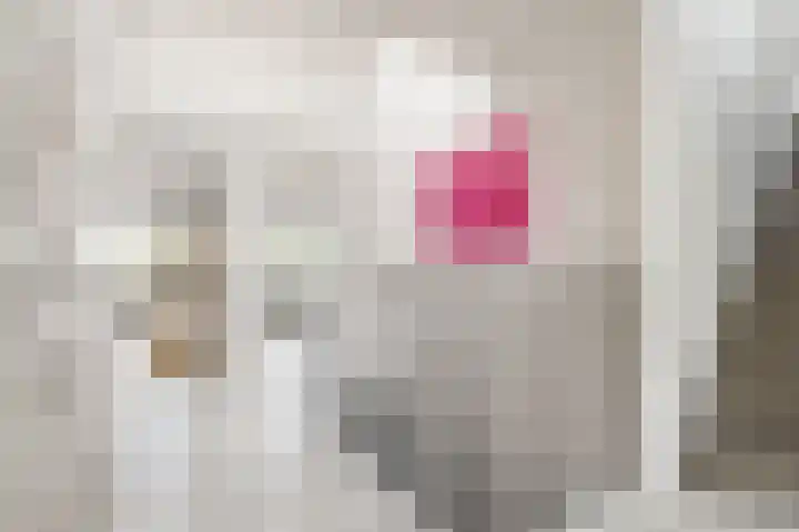 Dovenetelhof 6 Houten thumbnail 24