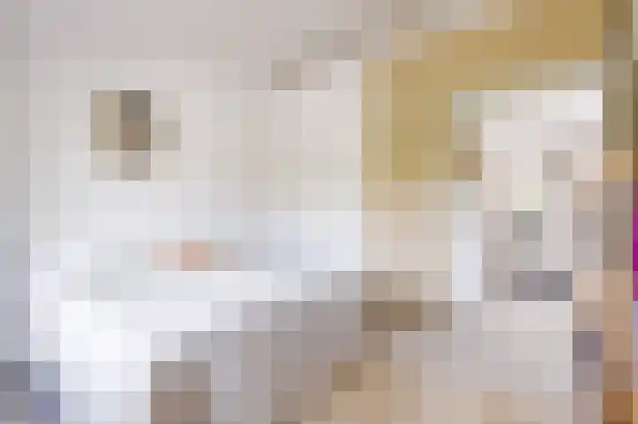 Dovenetelhof 6 Houten thumbnail 26