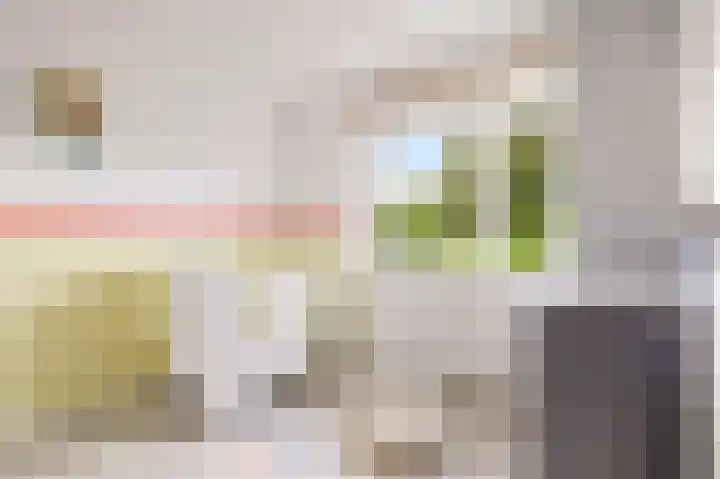 Dovenetelhof 6 Houten thumbnail 27