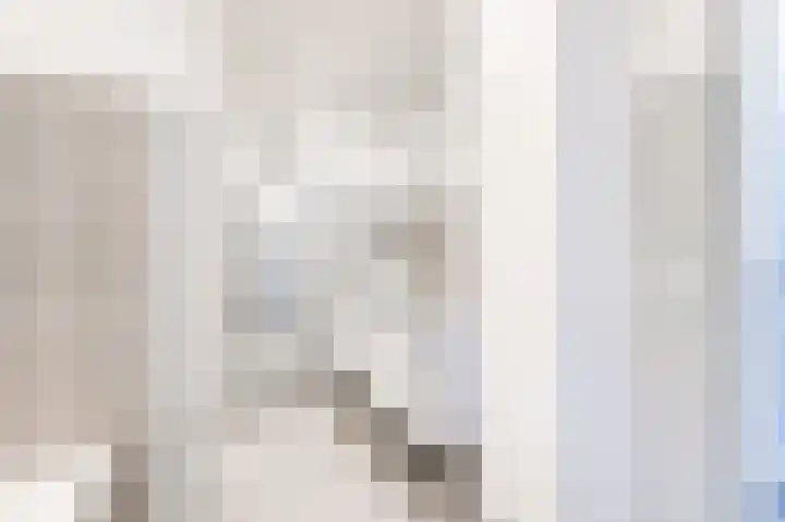 Dovenetelhof 6 Houten thumbnail 34