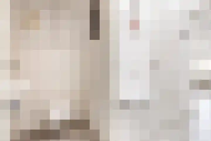 Dovenetelhof 6 Houten thumbnail 38