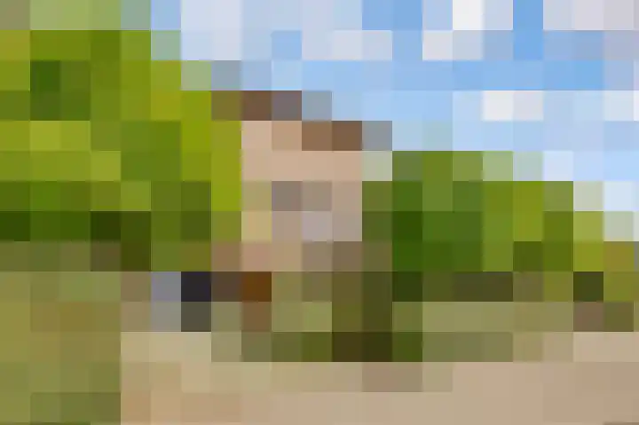 Dovenetelhof 6 Houten thumbnail 4