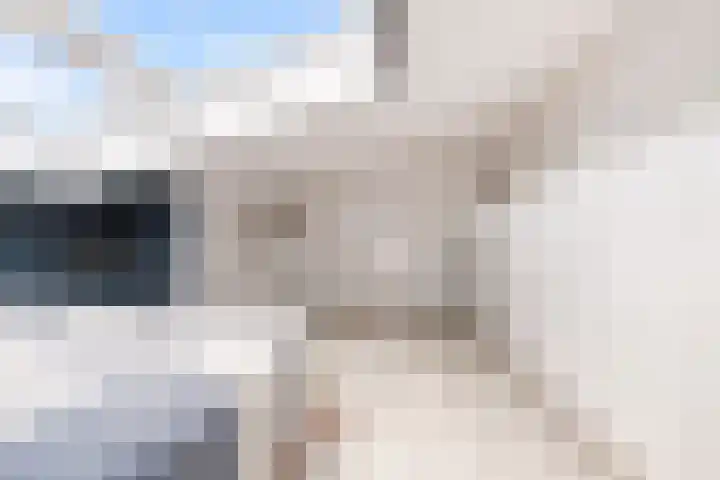 Dovenetelhof 6 Houten thumbnail 41