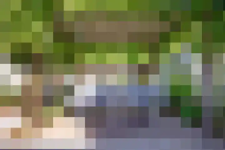 Dovenetelhof 6 Houten thumbnail 45
