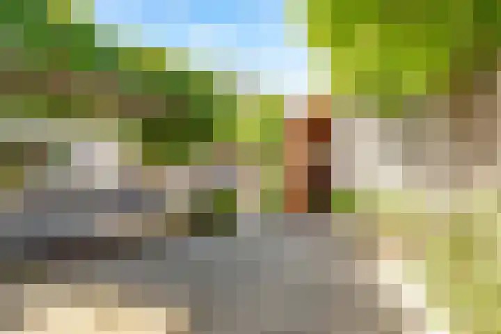 Dovenetelhof 6 Houten thumbnail 46