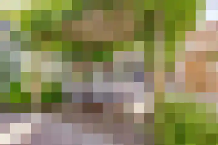 Dovenetelhof 6 Houten thumbnail 48