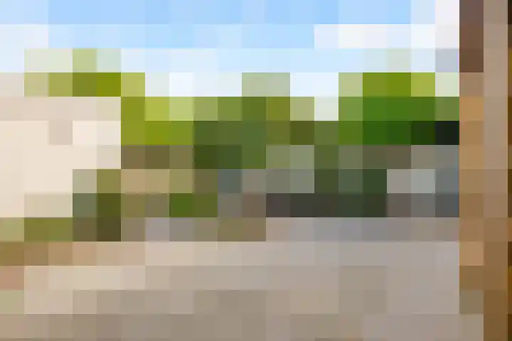 Dovenetelhof 6 Houten thumbnail 49