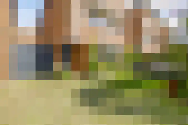 Dovenetelhof 6 Houten thumbnail 5