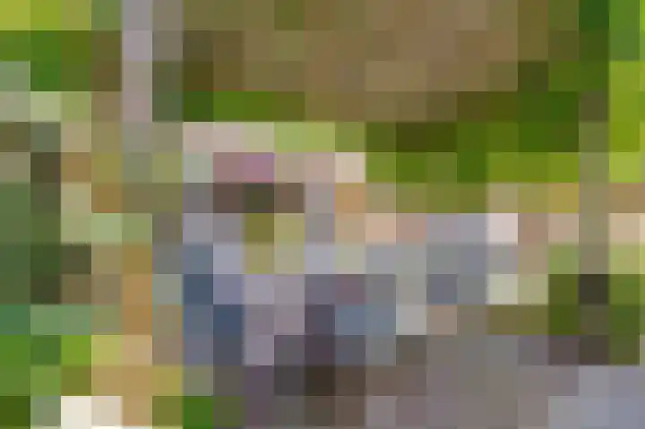Dovenetelhof 6 Houten thumbnail 50