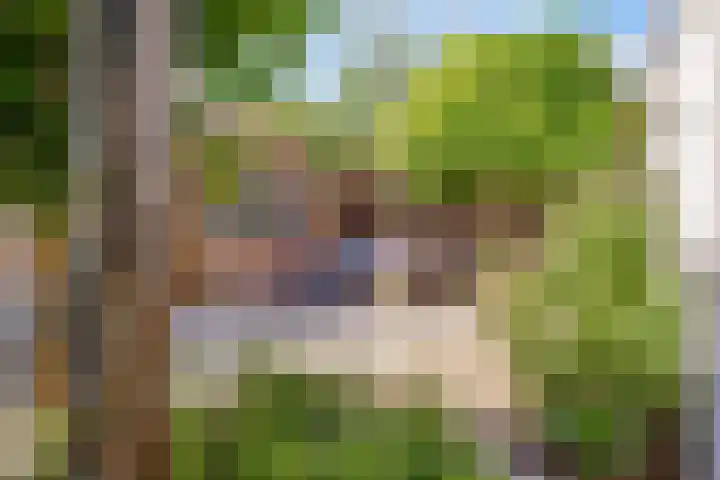 Dovenetelhof 6 Houten thumbnail 51