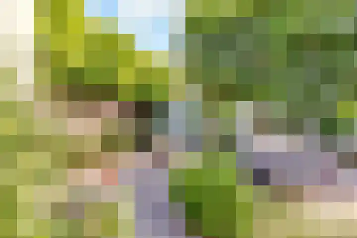 Dovenetelhof 6 Houten thumbnail 52