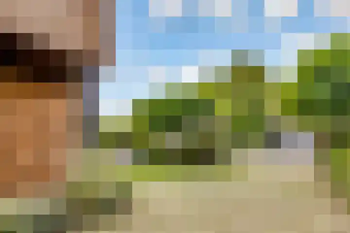 Dovenetelhof 6 Houten thumbnail 53
