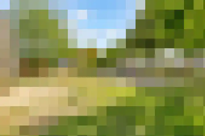 Dovenetelhof 6 Houten thumbnail 54