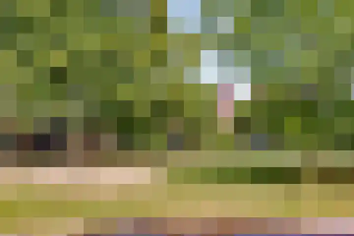 Dovenetelhof 6 Houten thumbnail 55