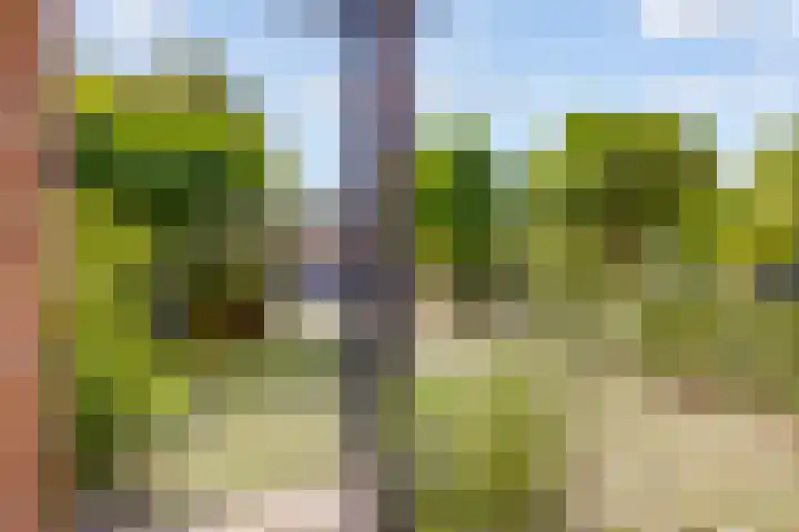 Dovenetelhof 6 Houten thumbnail 57