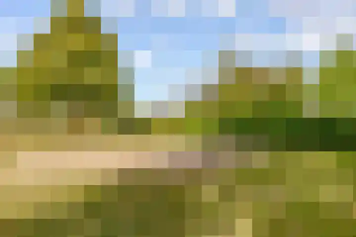 Dovenetelhof 6 Houten thumbnail 58