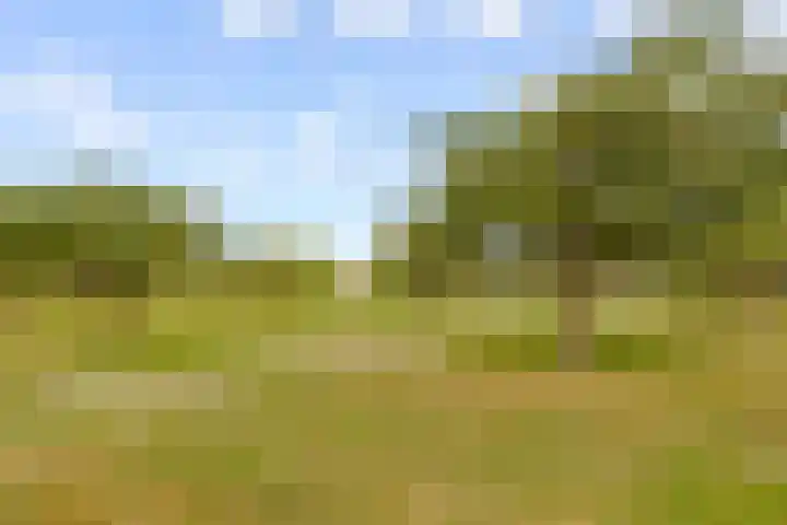Dovenetelhof 6 Houten thumbnail 59
