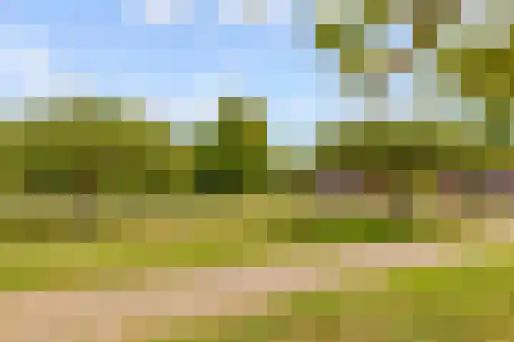 Dovenetelhof 6 Houten thumbnail 60