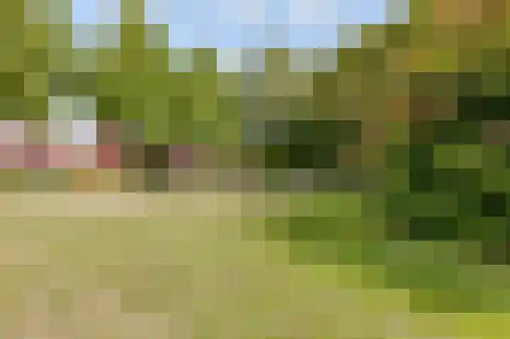 Dovenetelhof 6 Houten thumbnail 61