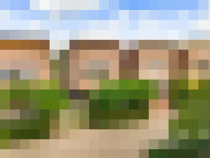 Dovenetelhof 6 Houten thumbnail 62