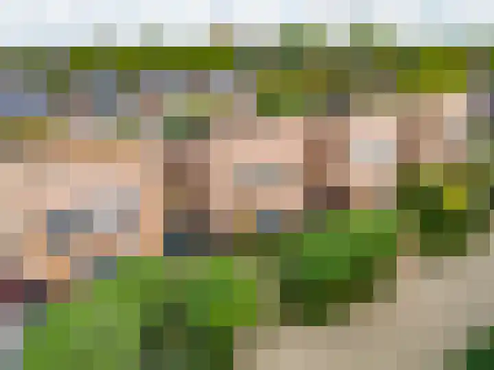 Dovenetelhof 6 Houten thumbnail 63