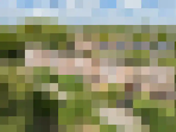 Dovenetelhof 6 Houten thumbnail 64