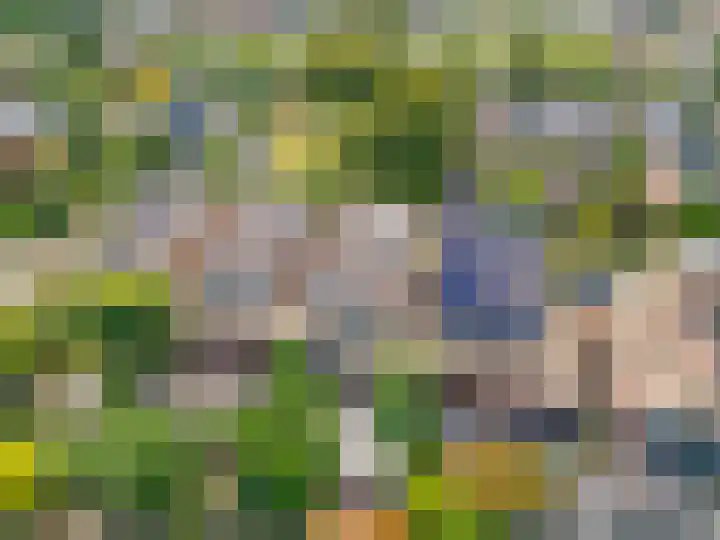 Dovenetelhof 6 Houten thumbnail 65