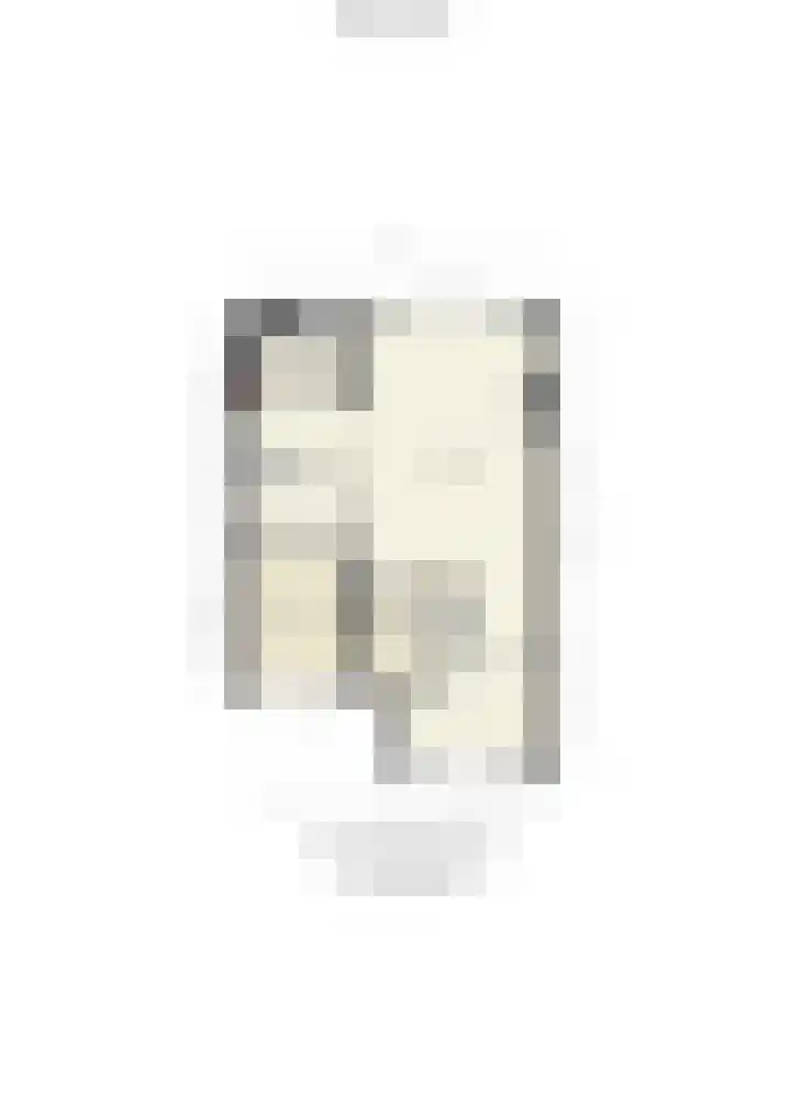 Dovenetelhof 6 Houten thumbnail 67