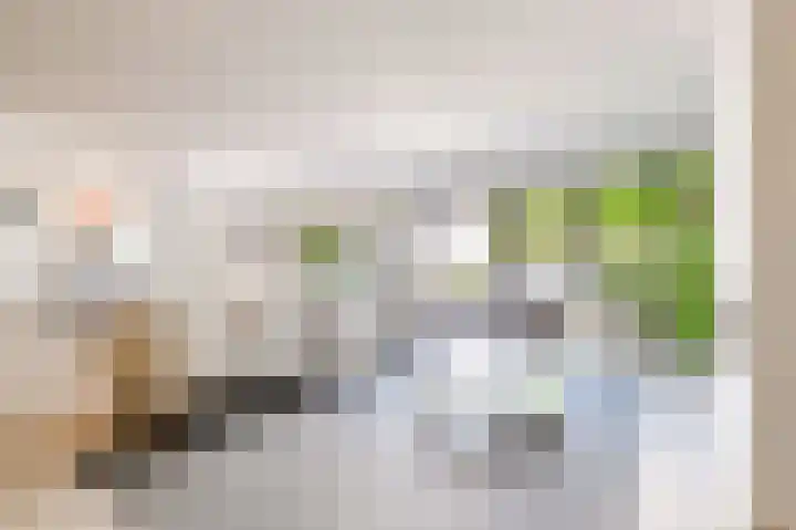 Dovenetelhof 6 Houten thumbnail 7