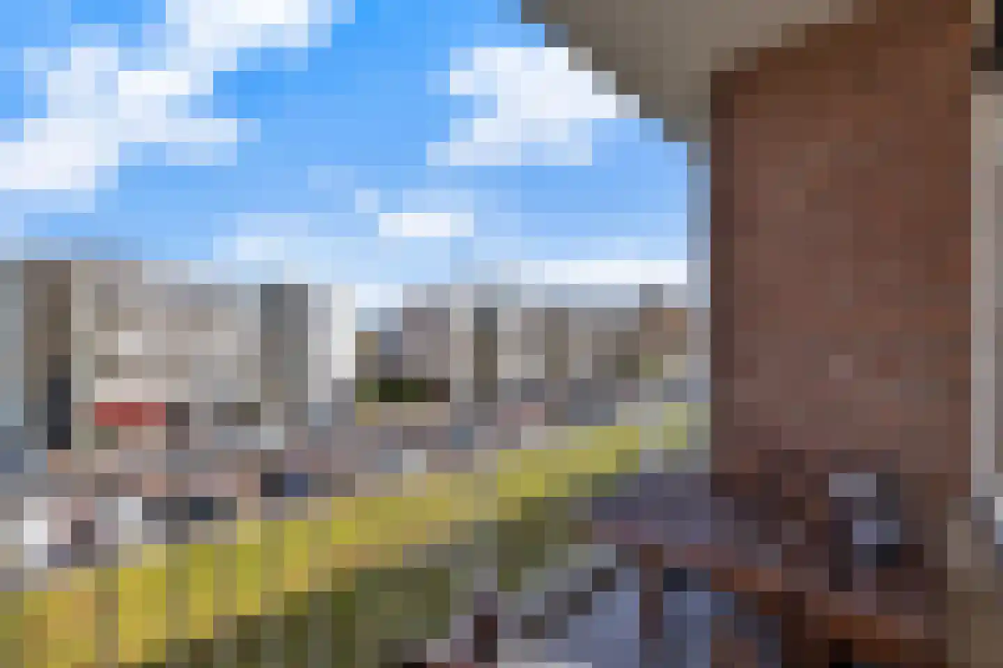 Dovenetellaan 25 Arnhem thumbnail 28