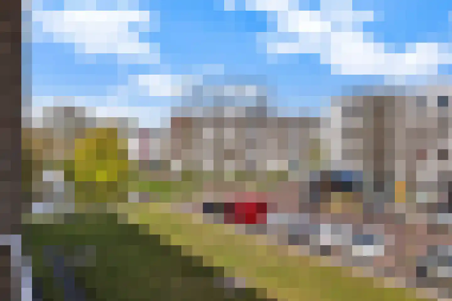 Dovenetellaan 25 Arnhem thumbnail 35