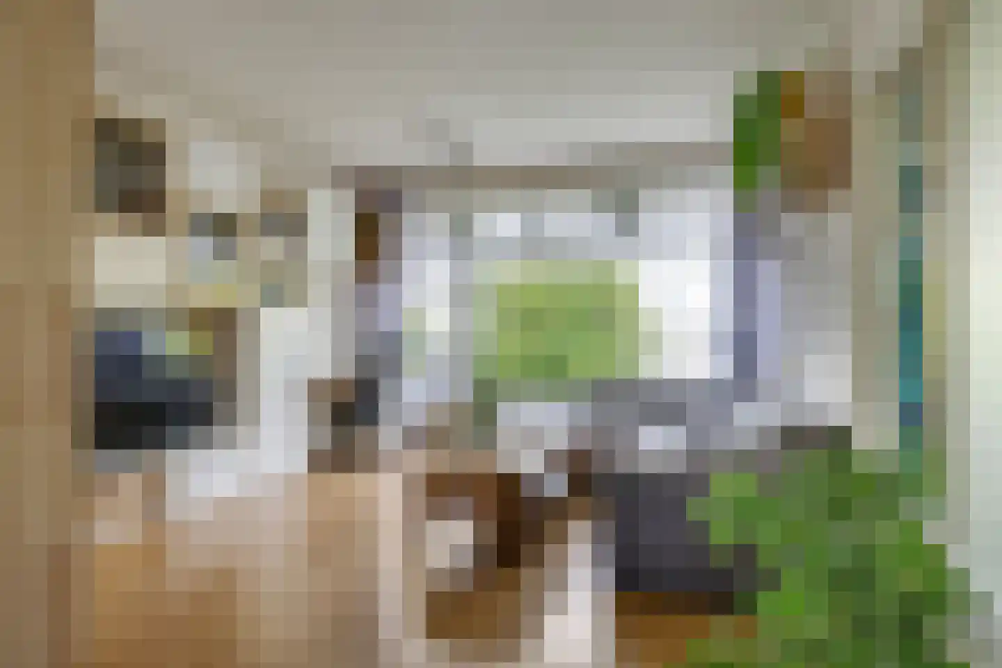 Dovenetellaan 29 Arnhem thumbnail 10