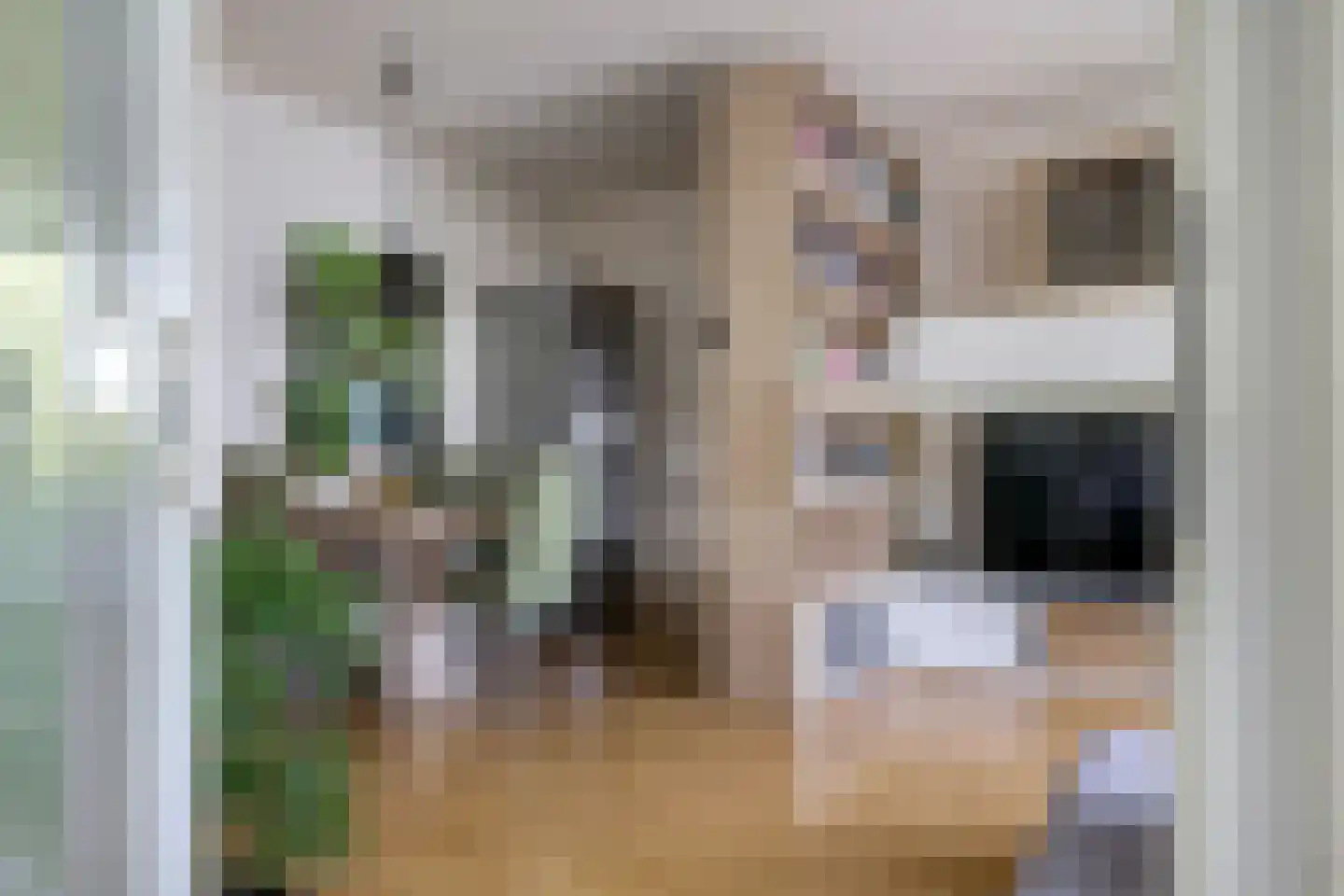 Dovenetellaan 29 Arnhem thumbnail 13