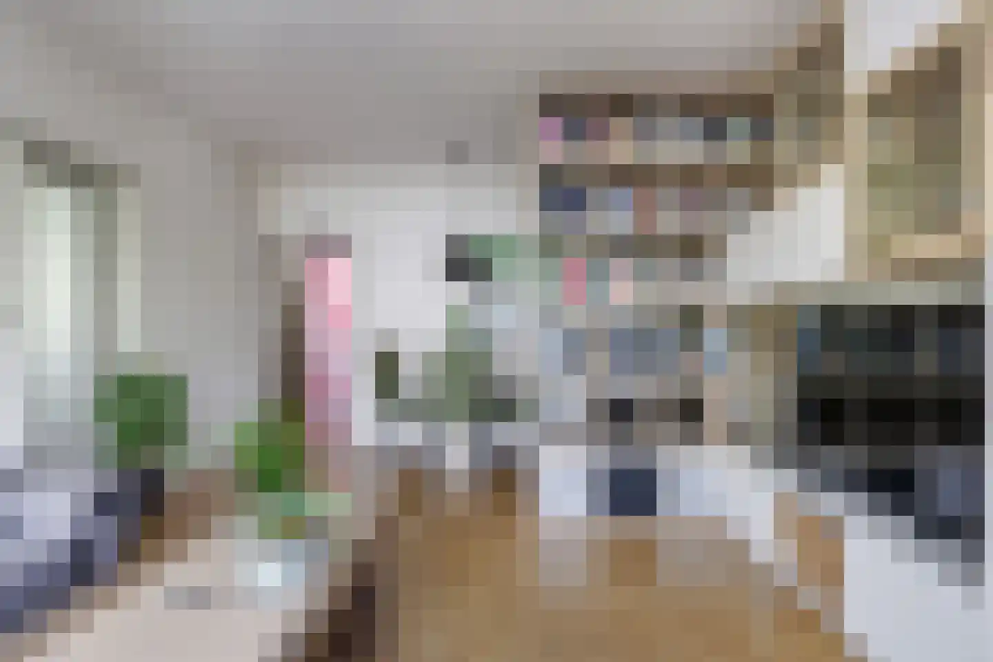 Dovenetellaan 29 Arnhem thumbnail 17